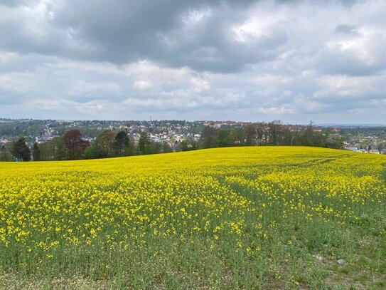 GENIESSEN SIE DIE TRAUMHAFTE AUSSICHT VON DER TERRASSE IHRES HAUSES! TELEFON 01714863595