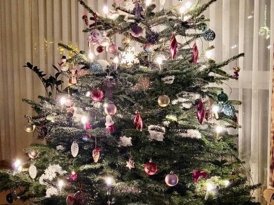 SCHMÜCKEN SIE IM NÄCHSTEN JAHR IHREN WEIHNACHTSBAUM IN IHREM EIGENEN HAUS! TEL. 01714863595