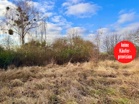 Penkun - HORN IMMOBILIEN ++ Grundstücke in Penkun zu verkaufen