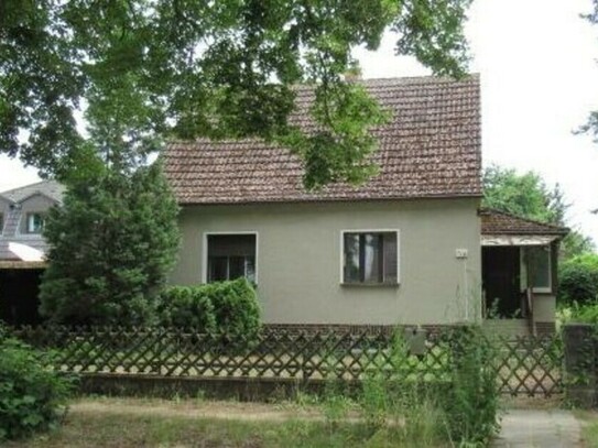 Schöneiche bei Berlin - KLEINES HAUS AUF GROßEM GRUNDSTÜCK, IN SCHÖNEICHE BEI BERLIN...