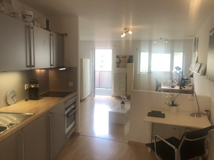 Freiburg im Breisgau - Kapitalanlage 1 Zi.Whg.32qm Baklkon, Bad, Tiefg., Freiburg zentrale Lage Privat