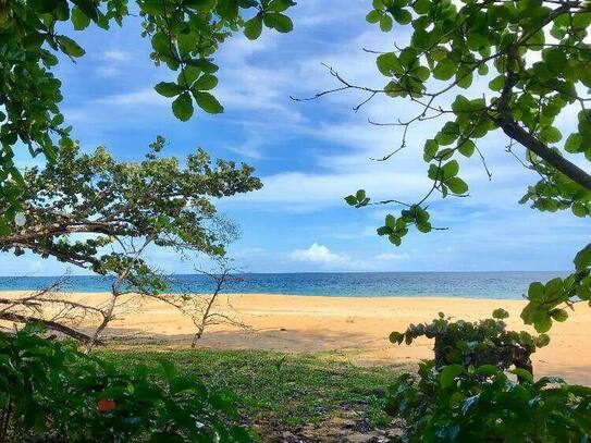 Köln - Grundstück in Costa Rica in einer der blauen Zonen der Erde