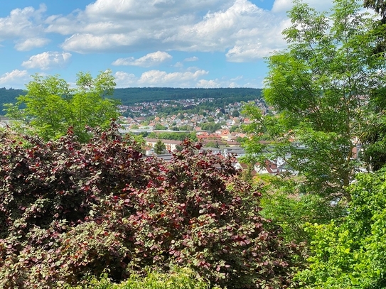 Heidenheim an der Brenz - Blick vom Schlossberg - großzügige 4-Zi.-ETW in Heidenheim