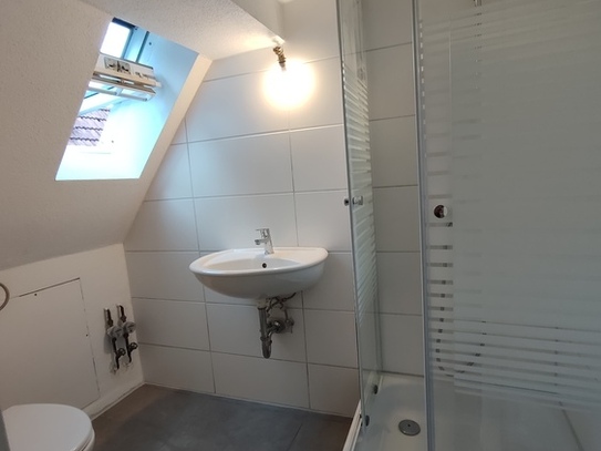 Calw - komplett sanierte 2 - 3 Zimmer Dachgeschoß Wohnung in Calw - Zentrum