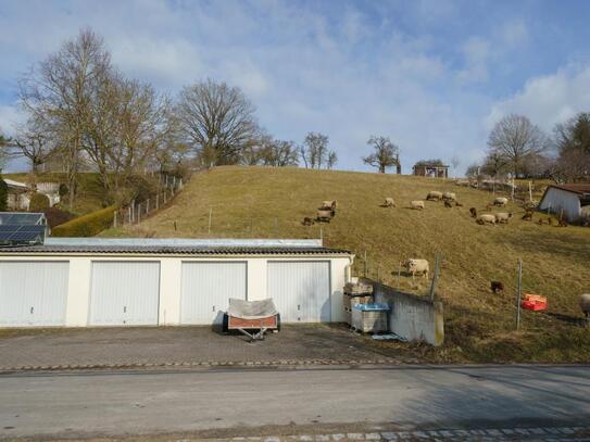 Wilhelmsdorf - Baugrundstück für Einfamilienhaus mit landwirtschaftlicher Fläche