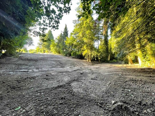 Tecklenburg - Provisionsfrei - angrenzendes Waldgrundstück in Tecklenburg!