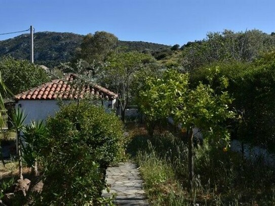 Porto Rafti - Zweifamilienhaus, Garten, Seeblick