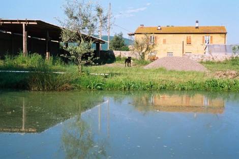 Canneto - Monteverdi - Verkauf von -Podere S. Paolo-