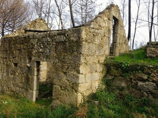 Tábua - Steinruine zum Restaurieren auf 1ha Land Portugal