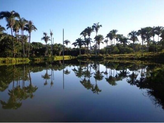 Januária - Fazenda - Bauernhof mit 2308 ha in Brasilien Minas Gerais