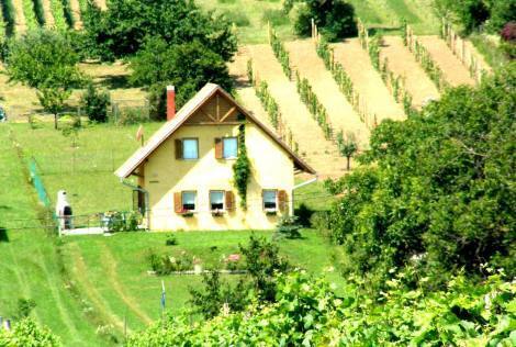 Zamardi - Einfamilienhaus am Plattensee im Grünen