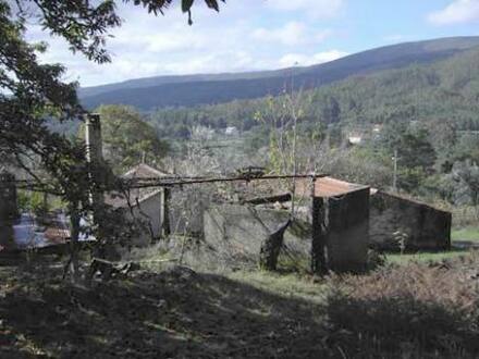 Castanheira de Pêra - Stilvolles Landhaus an privilegierter und sonniger Lage