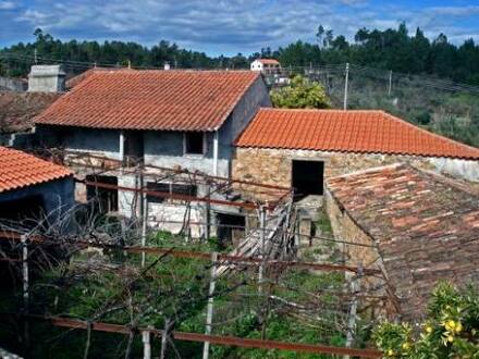 Pedrogao Grande - Grosses Naturstein-Dorfhaus mit Innenhof und eigenem Brunnen