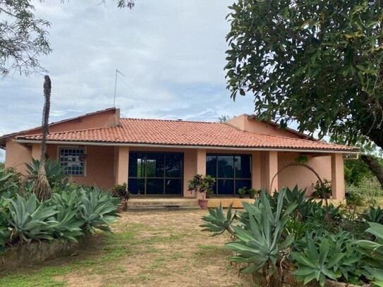 Boa Vista do Tupim - Bauernhof Fazenda zu verkaufen in Bahia-Brasilien