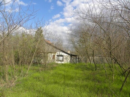 Csikéria - Günstiges Bauernhaus zu verkaufen in Süd-Ungarn