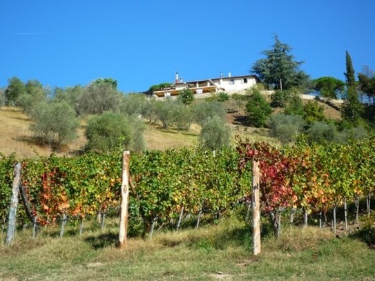 Florenz - Touristik. Weingut mit insgesamt 70 Zimmern