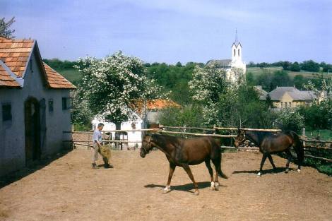 LOKUT - REITERHOF ZUVERKAUFEN IN UNGARN