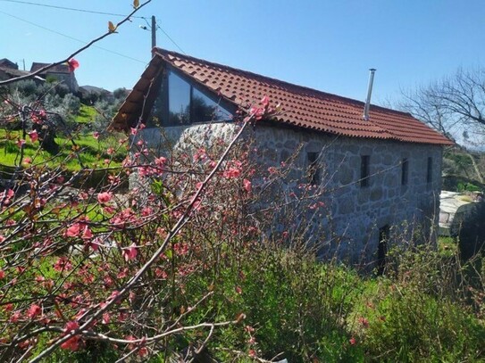 Tábua - Kleiner Bauernhof mit Steinhaus