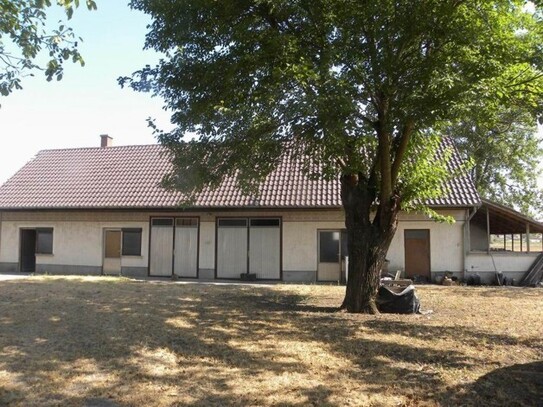 Csengele - In Ungarn 150m2 Bauernhaus mit 2ha Land