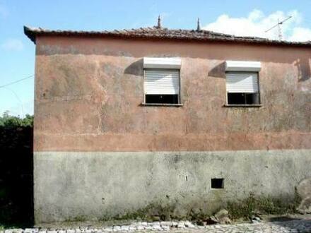 Figueiró dos Vinhos - Dorfhaus mit vielen Nebengebäuden u. Zitrus-Fruchtbaumgarten