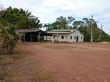 Rorainopolis - Orangenfarm 120 Ha mit Privatsee und Fischzucht in Brasilien