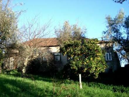 Pedrógão Grande - Herrschaftliches Dorfhaus mit einem reichhaltigen Obstgarten