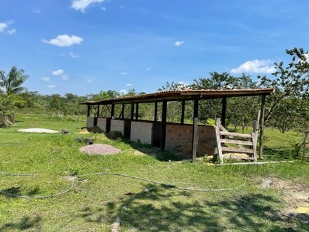 Manaus - 50 Ha Farm Fischzucht-Früchte-Plantagen