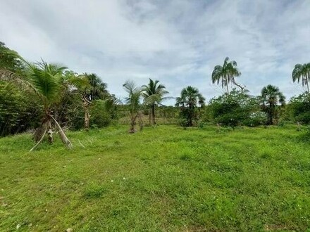 Silves - Brasilien 6000 Ha Tiefpreis Grundstück mit Rohstoffen