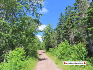 Huntington - Cape Breton - 295 Hektar (!) großes Wald-Areal - Einzigartige Gelegenheit in wildromantischer Naturlage