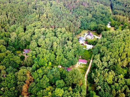 Stara rudnica - Einmalig 4200qm Baugrundstück 1h von Berlin Natur Fluss Wald