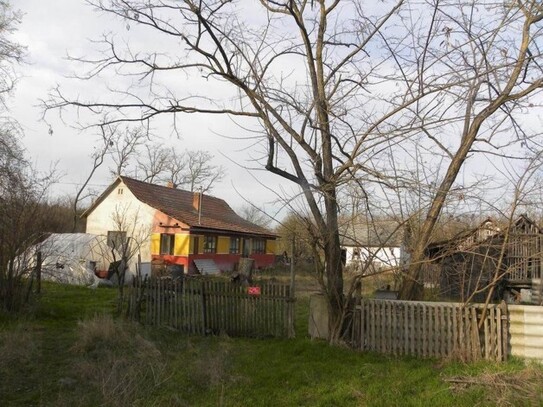 Pet&#337;fiszállás - In Ungarn ein günstiges Bauernhaus mit 10200 m2 Grundstück