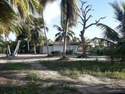 Conde - Brasilien Kokosnussölfabrik und Früchtefarm Region Salvador