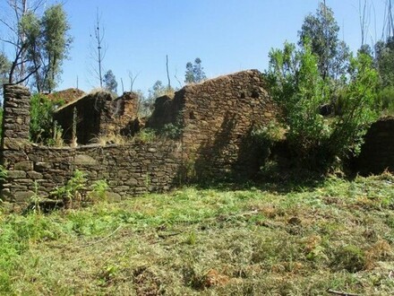 Vila Facaia - Quinta Vale da Fonte - grosse Ruine, Terrassen und Wald