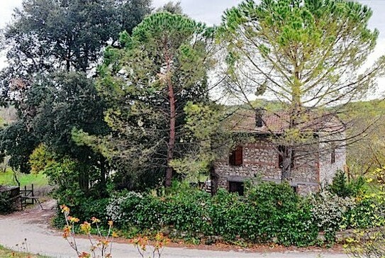 Rapolano Terme - Bauernhaus aus Stein. Ökologisch wertvoll
