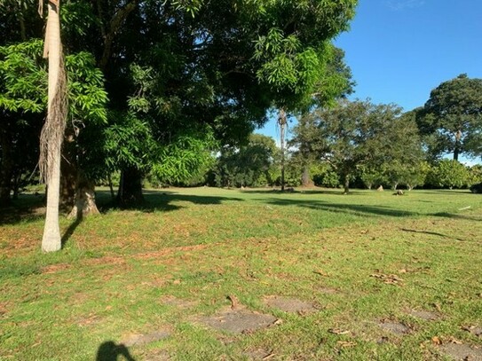 Manaus - Brasilien zu verkaufen wunderschöner Besitz - Früchtefarm