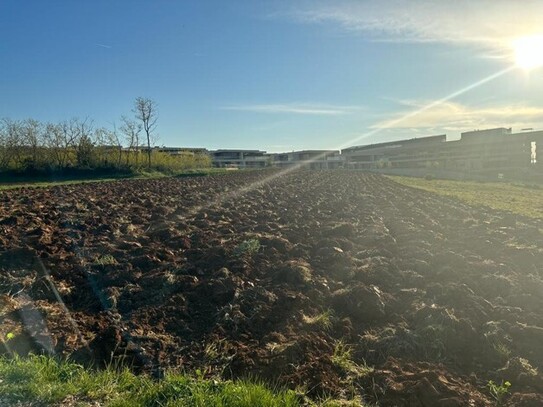 Umag Savudrija - Istrien großes Baugrundstück für den Bau von Villen