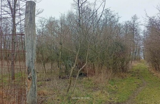 Budapest - Wald, Jagdgebiet in Ungarn zu verkaufen!