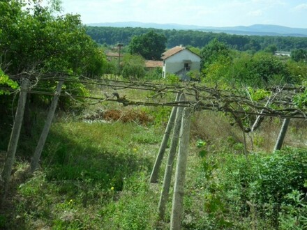 Ravna Gora - Baugrundstück in Dabravino