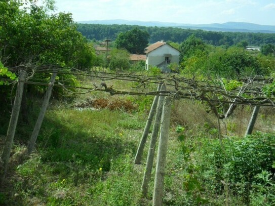 Ravna Gora - Baugrundstück in Dabravino