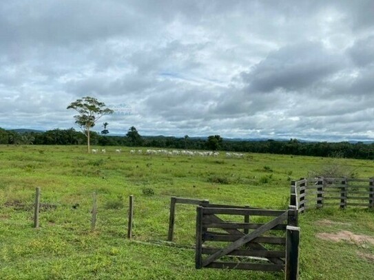 Boa Vista RR - Brasilien riesengrosse 1000 Ha Rinderfarm mit Privatsee