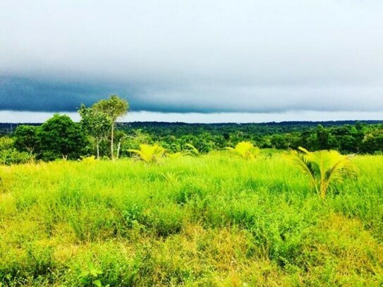 Manaus - Brasilien riesengrosses 18´000 Ha Grundstück mit Rohstoffen