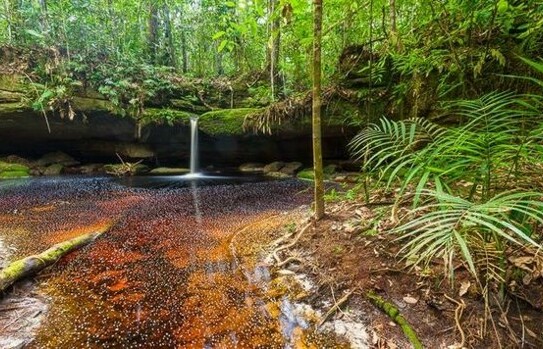 Rio Preto da Eva - Brasilien riesengrosses 11´250 Ha Grundstück mit Rohstoffen