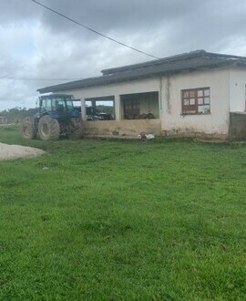 69735000 - Brasilien 1200 HA grosse Agro und Rindefarm mit Privatsee