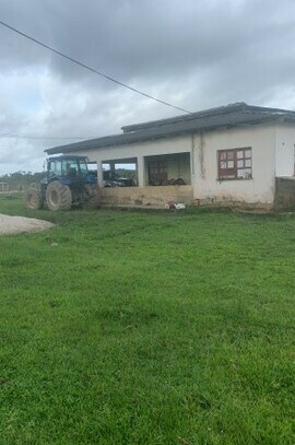 69735000 - Brasilien 1200 HA grosse Agro und Rindefarm mit Privatsee