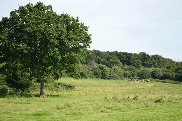 Tiefenbach - Gute Geldanlage - großes Waldgrundstück