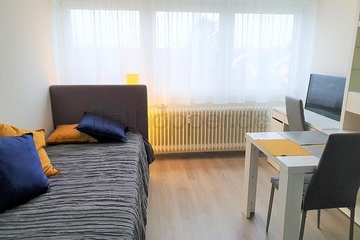 Eppelheim - Modernes, frisch renoviertes Apartment in Eppelheim bei Heidelberg