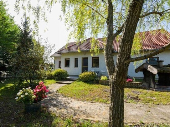 Kecskemét - Außergewöhnliches Haus mit Garten in Bacs-Kiskun Ungarn