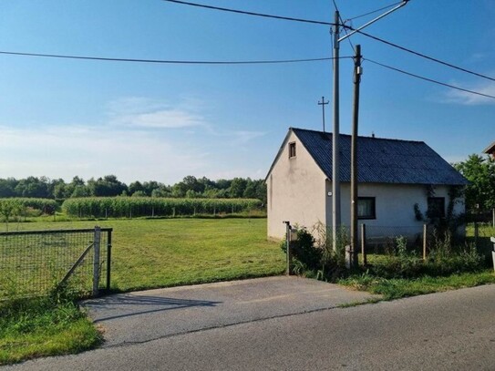 Letovanic - Mehrere Parzellen Land zu verkaufen in Kroatien