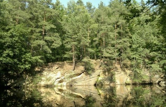 Vierkirchen OT Arnsdorf-Hilbersdorf - Grundstück im Wald mit Kranteich