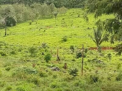 Manus - Brasilien 1000 Ha grosses Tiefpreis-Grundstück